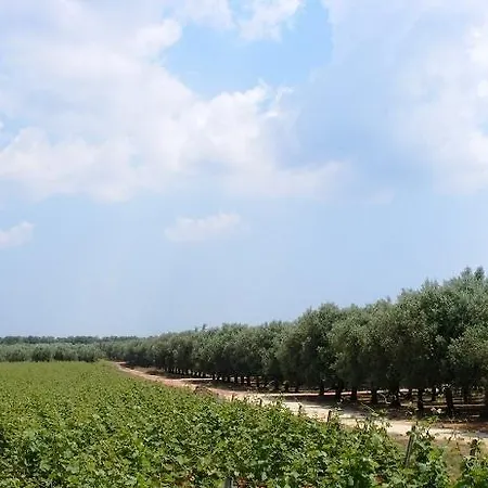 Domus Mea Salento Farm stay